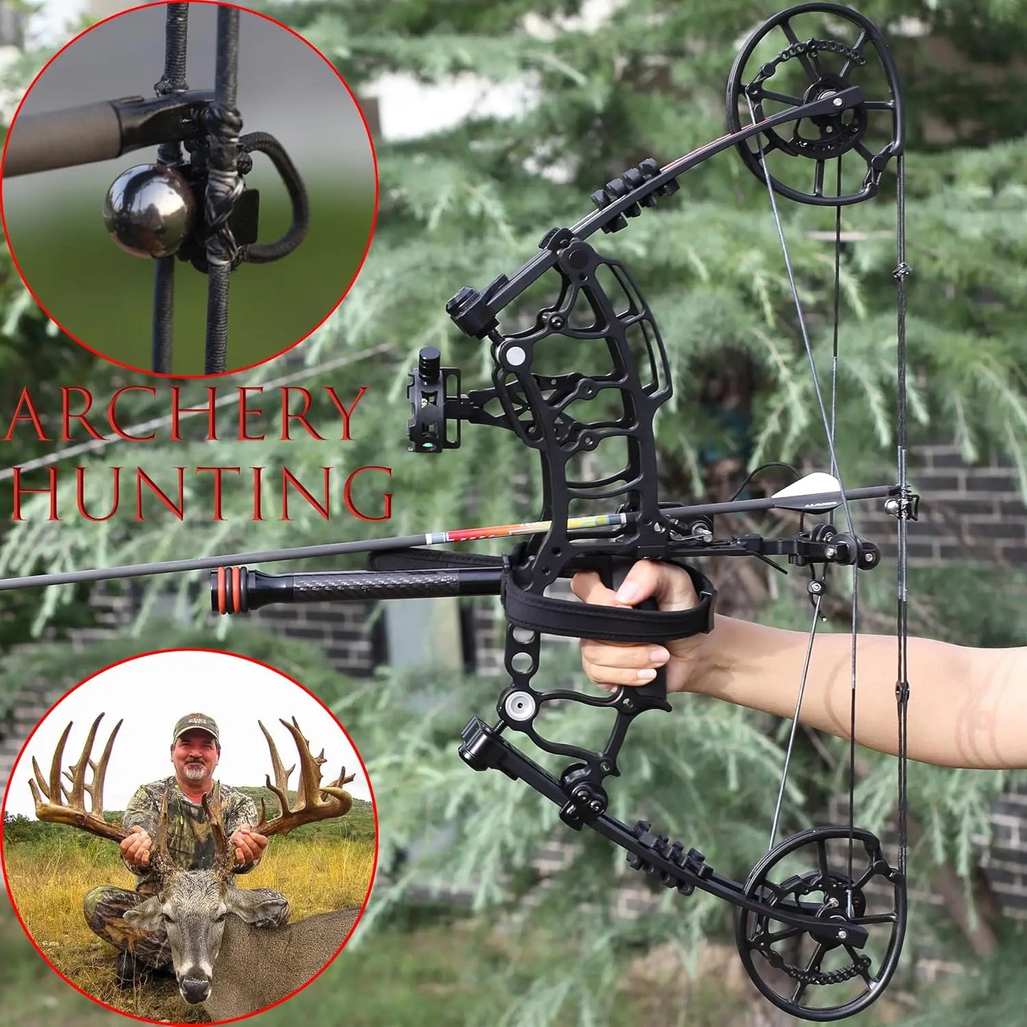 Compound Bow for Steel Ball and Arrow, Draw Weight 40-65 LBS, Short-Axis Hunting Steel Ball Compound Bow with Bag and All