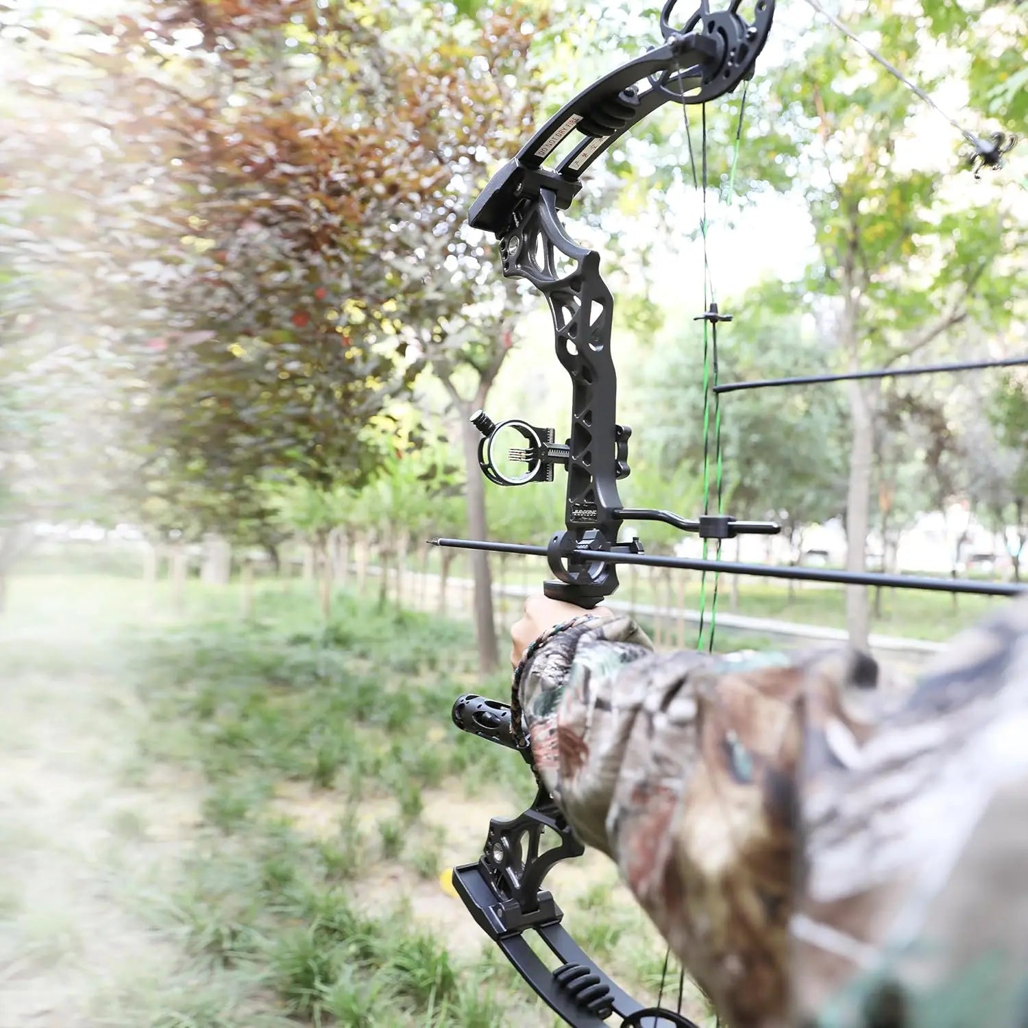 Black Compound Bow Kit, Hunting and Target, Limb Made in USA, Draw Weight 30-70 lbs Adjustable, Draw Length 19-31