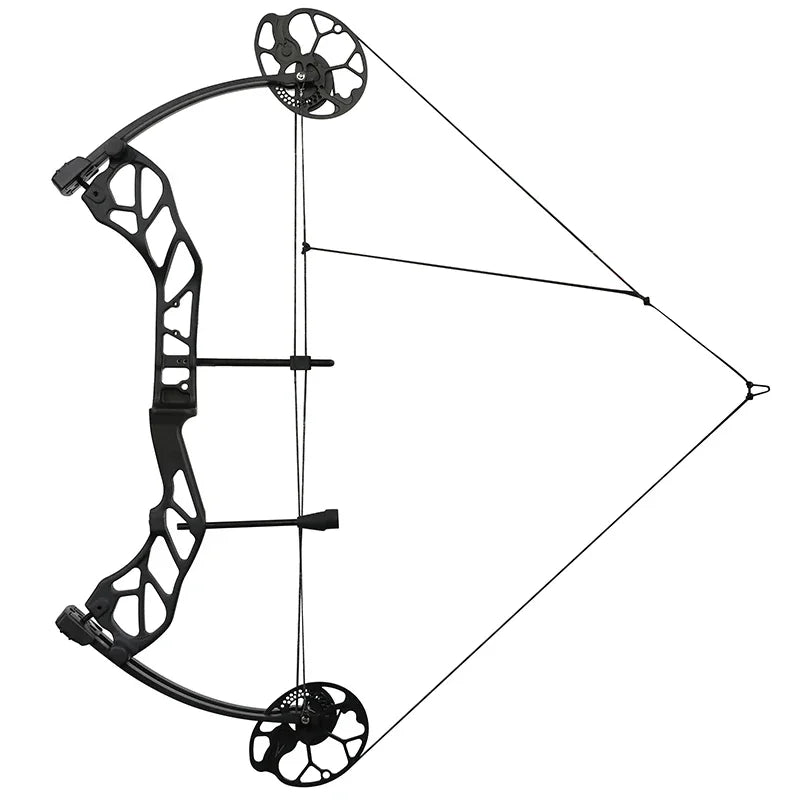 19-70Lbs Compound Bow 320fps CNC Aluminum Alloy Bow Riser Dual Cam Archery Pulley Bow for Right Hand Shooting Hunting Target