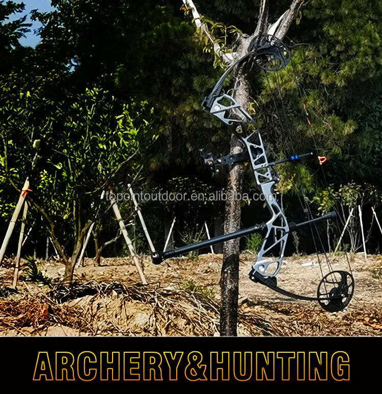 Archery T1 Compound Bow Hunting Bow And Arrow Package CNC Milling Archery Bow Riser And Cams RH And LH