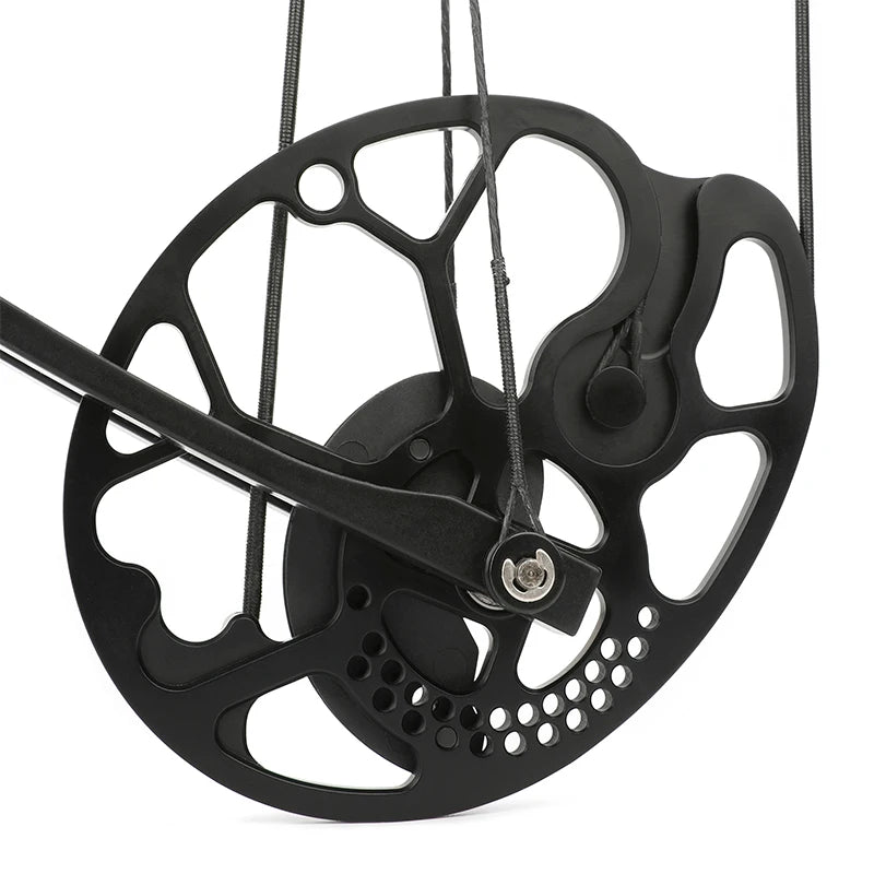 19-70Lbs Compound Bow 320fps CNC Aluminum Alloy Bow Riser Dual Cam Archery Pulley Bow for Right Hand Shooting Hunting Target