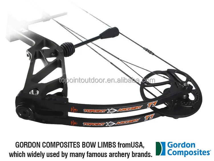Archery T1 Compound Bow Hunting Bow And Arrow Package CNC Milling Archery Bow Riser And Cams RH And LH