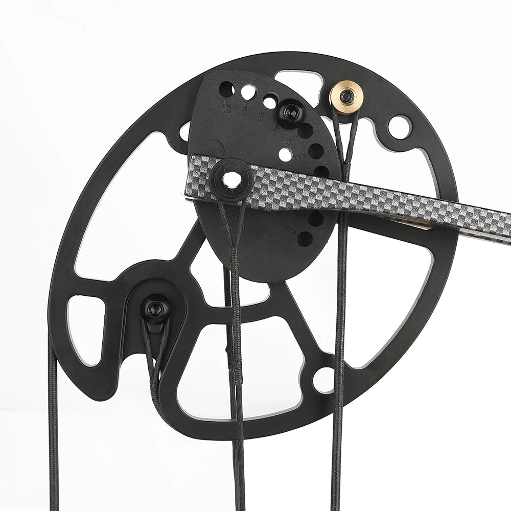 M126 Archery Compound Bow Set 0-70lbs Adjustable Let-off 80% Arrow IBO Speed 320 Competitive Hunting Shooting