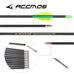 6/12/18pc Hot Pure Carbon Arrow 28inch 30inch Spine 600 700 800 900 1000 1100 1300 1500 1800ID 4.2 mm Archery for Recurve Bow